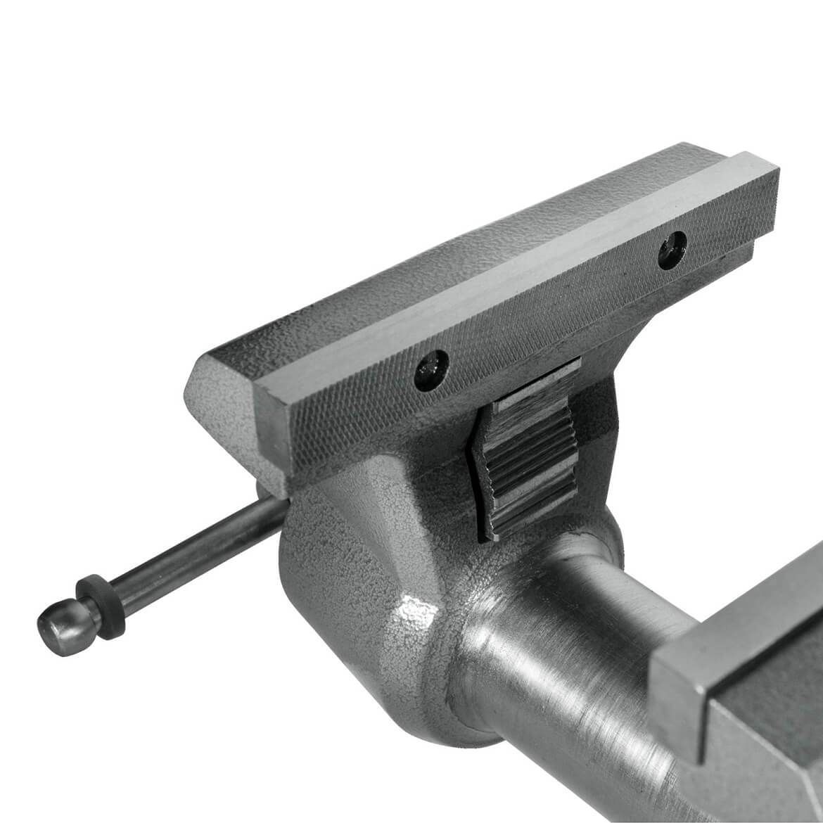 Wilton 28813 8-Inch 360-Degree Swivel Base Mechanics Pro Vise